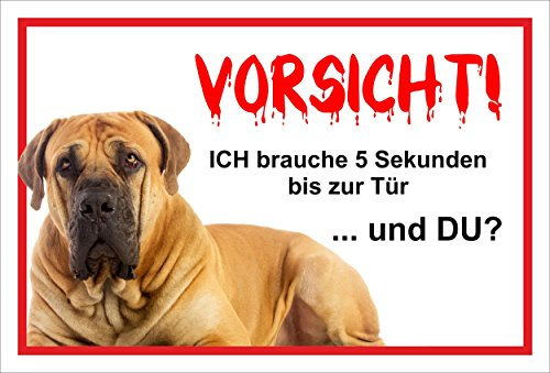 Melis-Folienwerkstatt Schild Warnschild Vorsicht freilaufender Hund – Dogge Achtung – 5 Sekunden bis zur Tür – 20x30cm – S21F