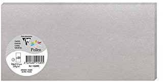 Clairefontaine 11589C Packung mit 25 Karten Pollen in Format DL, 210g 106 x 213mm, Silber