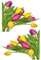 1art1 Blumen Tulpen Bouquet In Fuchsia Und Gelb, 2 Sticker À 45x36cm Wand-Tattoo | Deko Wandaufkleber für Wohnzimmer Kinderzimmer Küche Bad Flur | Wandsticker für Tür Wand Möbel/Schrank 45x36 cm