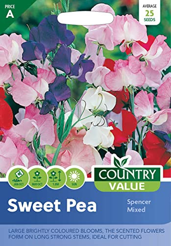 Country Value SWEET PEA Spencer Mixed Seeds
