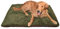 Petbed - Hundedecke Faserpelz | Robustes Material | Isolierende Thermo-Decke | Waschbar | rutschfest | 70 x 100 cm, Oliv