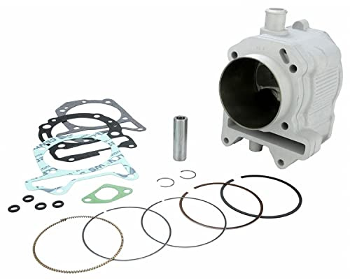 Zylinderkit Malossi 282ccm für Piaggio 300 ie 4T LC Motor