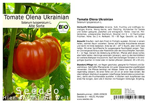 Seedeo® Tomate Olena Ukrainian (Lycopersicum L.) 25 Samen BIO