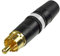REAN NYS373 macho RCA by Neutrik white - NYS373-9 blanco