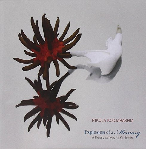 EXPLOSION OF A MEMORY