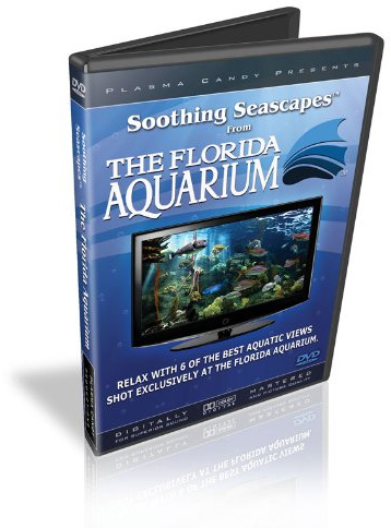 Soothing Seascapes from The Florida Aquarium