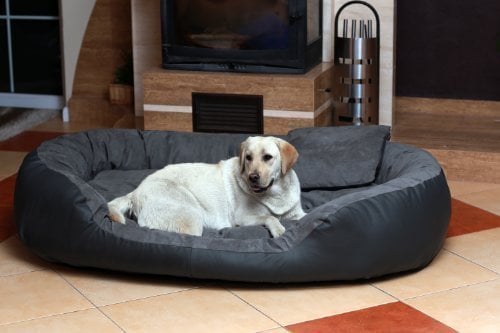 tierlando® Philip VIP Hundebett aus edlem Velours-Kunstleder-Mix mit bequemer Wendematratze, pflegeleichtem Bezug und Stabiler Polsterung Größe: 140x100cm | Farbe: 02 Graphit