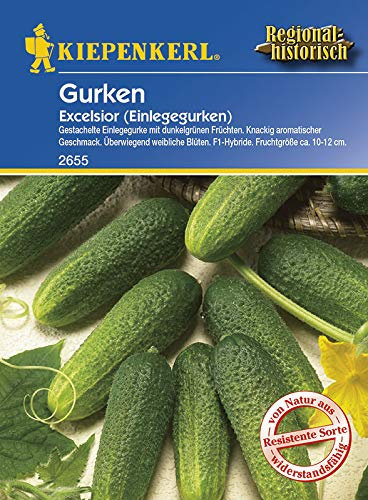 Gurkensamen - Einlegegurke Excelsior F1 von Kiepenkerl