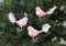 3 tlg. Glas Vogel Set in Hochglanz-Rosa-Silber - Neuheit - Christbaumkugeln - Weihnachtsschmuck-Christbaumschmuck