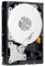 Western Digital Caviar 2TB SATAII 64MB Cache 3.5-inch Green Internal Hard Drive OEM