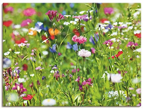 ARTLAND Wanddeko Leinwand Bilder Wandbild Blumen Blüten Blumenwiese Botanik Sommer Modern Kunst Q6WQ