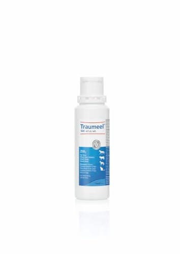 Traumeel Gel ad us. vet. 250g für u.a. Hunde, Katzen und Pferde | Natürliches Tierarzneimittel | Made in Germany
