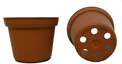 New 7,6 cm Kunststoff Anzuchttöpfen ~ Töpfe sind 7,6 cm rund oben, und 5,7 cm Tief. Farbe: Terracotta. Vielseitige Mengen Pack of 200