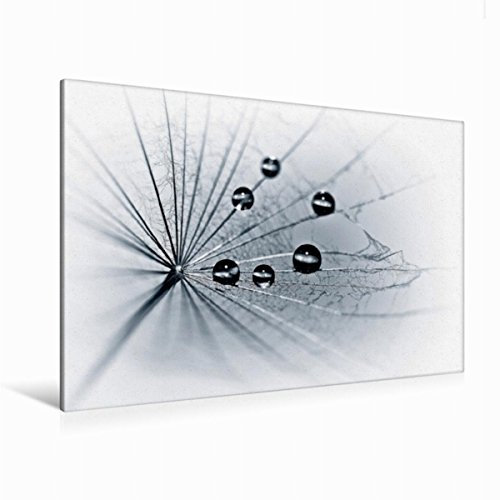 Premium Textil-Leinwand 120 x 80 cm Quer-Format Im Kreis | Wandbild, HD-Bild auf Keilrahmen, Fertigbild auf hochwertigem Vlies, Leinwanddruck von ppicture - Petra Voss