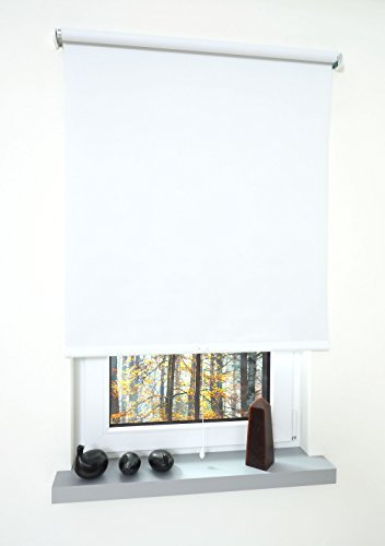 Liedeco® Rollo, Spring-, Schnapprollo / 62 x 180 cm (Breite x Höhe), weiß/Verdunkelnd, Abdunkelnd, Blickdicht/viele Farben, Größen und Typen/Breiten 60-200 cm/Variable Montage möglich