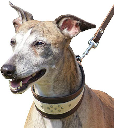 Dingo Weiches Lederhalsband für Windhund Eleganz Halsband Soft 12403