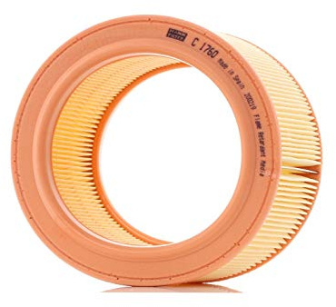 MANN-FILTER, C 1760 Air Filter | For Passenger Cars, Clean Air Intake, Durable Filter Media, Perfect fit Design, True OE Engineering