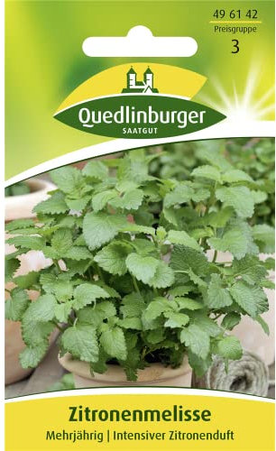 Zitronenmelisse mehrjährig, 1 Tüte Samen