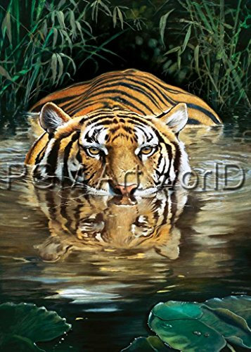 Kunstdruck / Poster: Renato Casaro Bamboo - hochwertiger Druck, Bild, Kunstposter, 50x70 cm