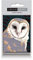 Barn Owl Fridge Magnet by Leslie Gerry