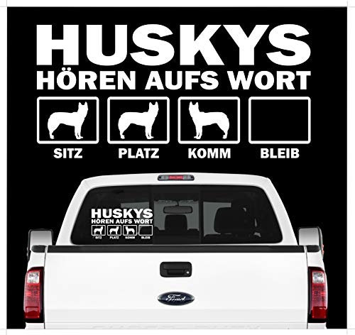 siviwonder Auto Aufkleber Siberian Husky Hunde Hören aufs Wort Hundeaufkleber autoaufkleber Hund Folie Hundemotiv 30cm White