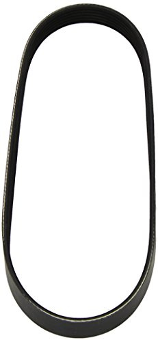 Dayco 6PK810 Keilrippenriemen | 6PK810, Keilrippenriemen