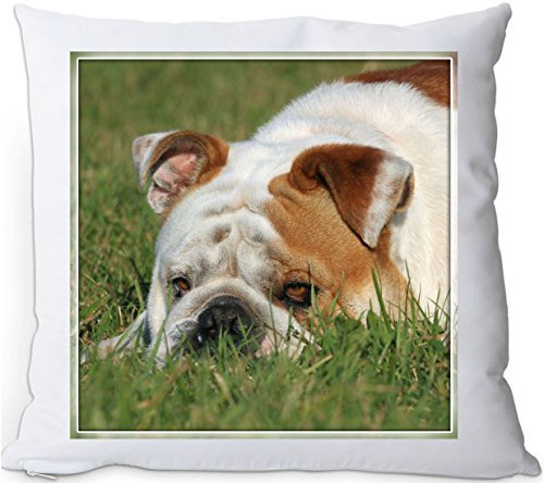+++ Englische BULLDOGGE - Kuschelkissen/KISSEN | PILLOW/Dekokissen - EBD 05