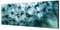 Augenblicke Wandbilder Keilrahmenbild Wandbild 150x50cm Pusteblume Löwenzahn Wassertropfen Tau
