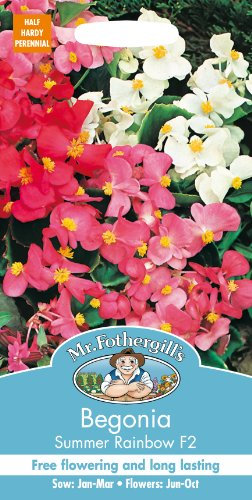 Mr Fothergill?s Seeds Ltd 22102 Mr Fothergill's Begonia Summer Rainbow F2, Mixed