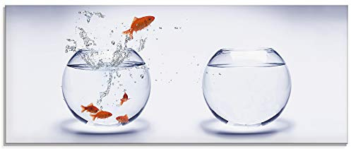 ARTland Wanddeko Glasbilder Wandbild Glas Bild einteilig 125x50 cm Querformat Tiere Fische Goldfisch Aquarium Wasser T5XF