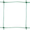 TENAX Filet à Ramer Flora 2,00x10 m Vert, Filet pour Plantes Grimpantes, Dans le Potager Facilite la Croissance des Tomates, Haricots, Légumes, Fleurs et Plantes Grimpantes, Emballage en Filet