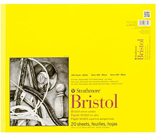 Strathmore 300 Series Bristol Pergamentpapier, 35,6 x 43,2 cm, 20 Blatt, Papier, 14x17