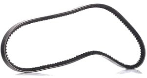 DAYCO 13A1025C Gürtel