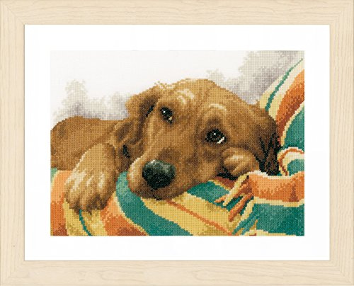 Lanarte Counted Cross Stitch Kit-Little Rascal, 100% Cotton, Multi, 20x1x26 cm