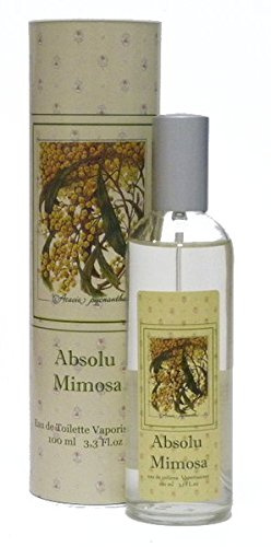 Provence et Nature Absolu Mimosa, 1er Pack (1 x 100 ml)