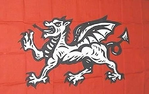 U24 Fahne Flagge Drache 90 x 150 cm