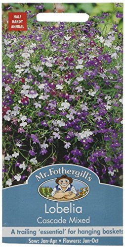 Mr. Fothergill's 22028 Lobelia Cascade Mixed Flower Seeds