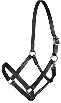 PFIFF Basicline Lederhalfter, schwarz Cob, M