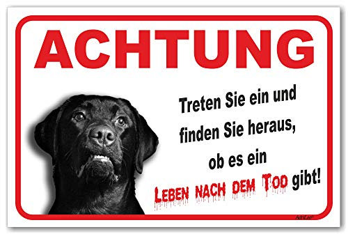 AdriLeo Schild - Vorsicht schwarzer Labrador Retriever - Leben nach dem Tod - (15x20cm) / Achtung Hund Wachhund robust langlebig UV-beständig wetterfestes Warnschild