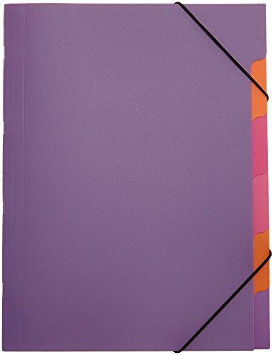 Pagna 41803-12 Ordnungsmappe, Funky School Trend PP, 5-teilig, lila