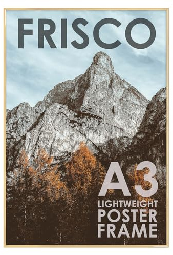 Kenro Frisco Series Gold Photo Frame A3 / 29.7x42cm Wall Hanging with Acrylic Front – FRA3G