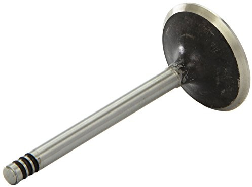 AE V94079 Einlaßventil