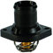 FAE 5205589 Termostato, Refrigerante