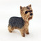 Joe Davies Leonardo LP13384 Figur Yorkshire Terrier, 1 Stück, 10 x 3 x 10 cm, Zubehör, Mehrfarbig