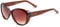 Ted Baker Damen Avignon Groß Sonnenbrille, Brown