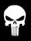 2X The Punisher, Sticker, Logo, (15x10cm) Autoaufkleber/Heckscheiben Aufkleber, Vinyl, Product !!! + Farbwahl (weiß)
