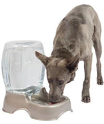 Petmate Pet Cafe Waterer Cat and Dog Water Dispenser 1.5 gallon, Pearl Tan