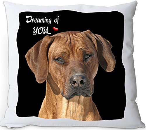 +++ RHODESIAN RIDGEBACK - Kuschelkissen/KISSEN | PILLOW/Kussen - RRB 01