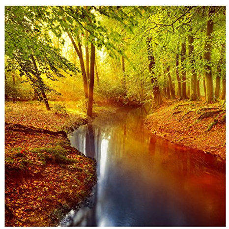 Waldtapete - Vliestapete Premium - Herbstwald - Fototapete Wald Quadrat Vlies Tapete Wandtapete Wandbild Foto 3D Fototapete, Größe HxB: 192cm x 192cm