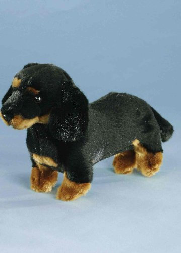 Dackel schwarz-braun, ca. 27 cm